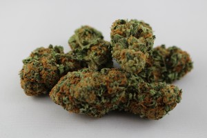 Cannabis-1