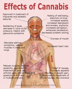 effects-of-cannabis