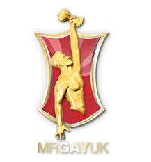 Mr Gay UK logo-02