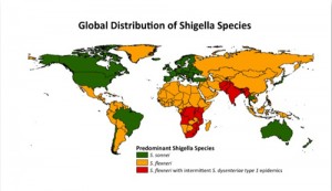 shigella map500